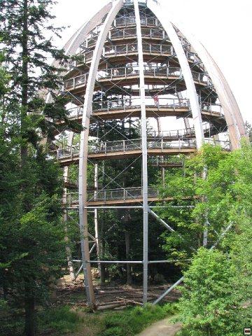 ilztal-97979.jpg