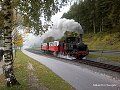 thn_IMG_0809.jpg