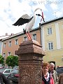 thn_tittmoning-2013-05-08_09-29-51.jpg