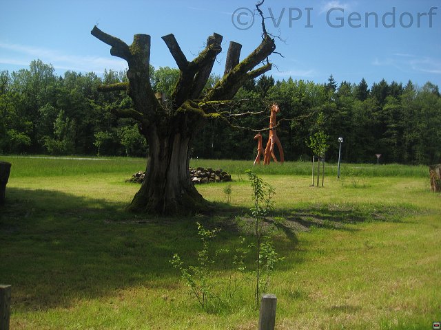 bernried_019.jpg