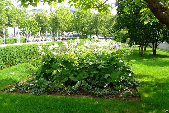 p1230477.jpg