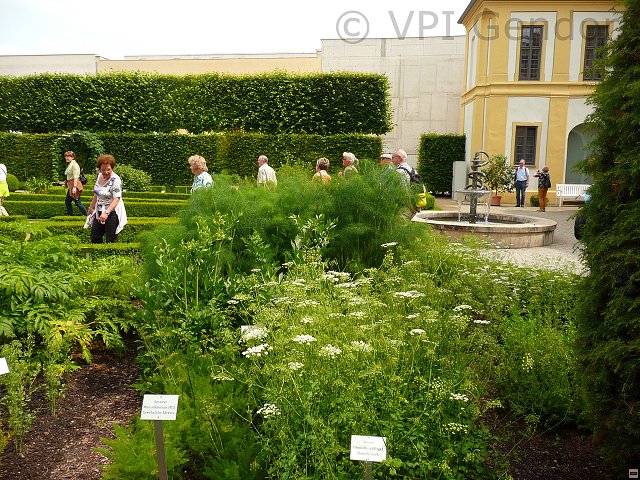 p1230497.jpg