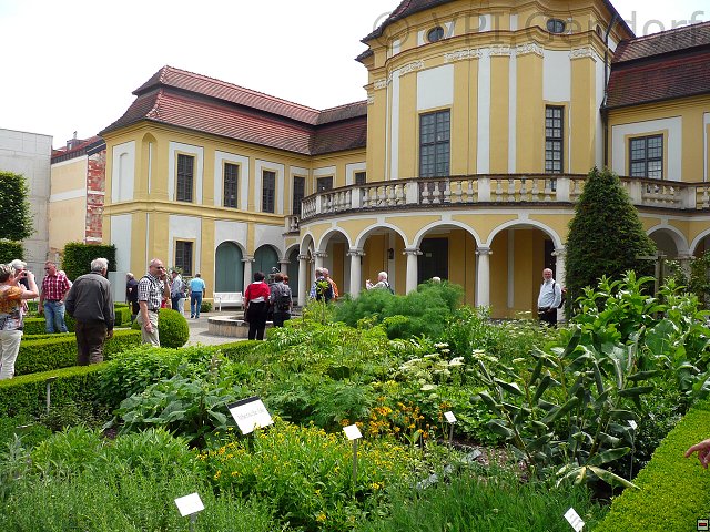 p1230501.jpg