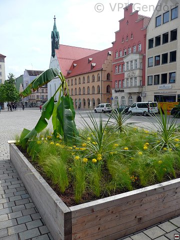 p1230526.jpg