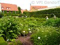 thn_p1230496.jpg