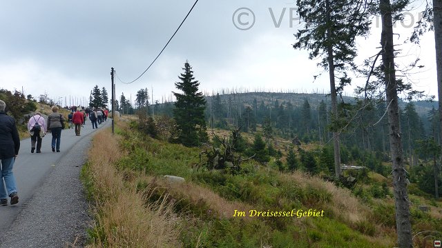 bayerwald14_046.jpg