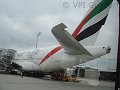 thn_DSC08051.jpg