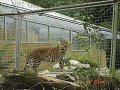 thn_tierpark-2015-009.jpg
