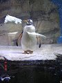 thn_tierpark-2015-012.jpg