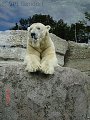 thn_tierpark-2015-015.jpg