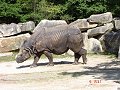 thn_tierpark-2015-021.jpg