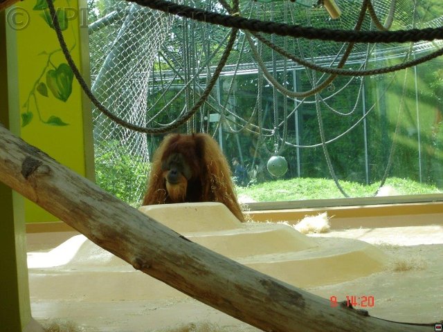 tierpark-2015-006.jpg