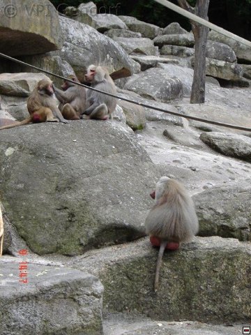 tierpark-2015-011.jpg