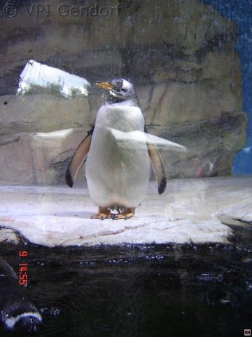 tierpark-2015-012.jpg