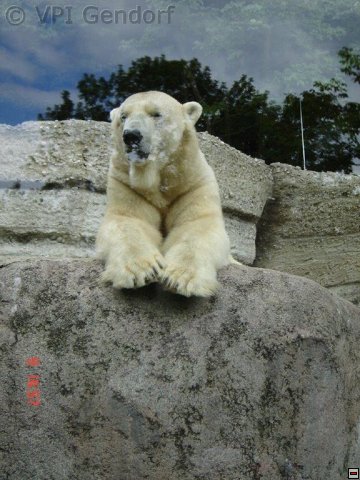 tierpark-2015-015.jpg