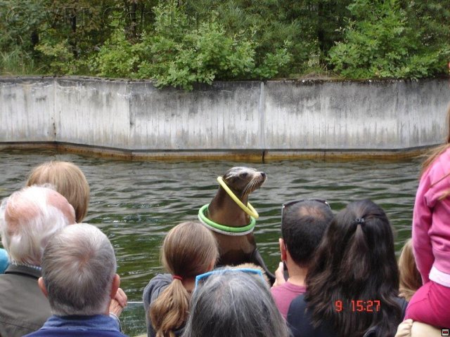 tierpark-2015-019.jpg