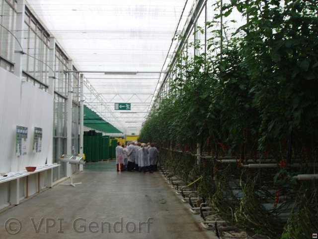 pa130084.jpg