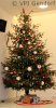 Adventfeier 2015