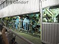 thn_P4272515.jpg