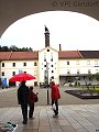 thn_p5313125.jpg