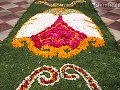 thn_p5313138.jpg