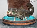 thn_p5313145.jpg