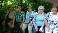 thn_herbst_2016-09-07_15-07-08.jpg