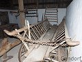 thn_p9218289.jpg