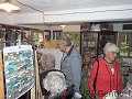 thn_p9218310.jpg
