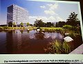 thn_25-img_2459.jpg