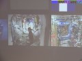 thn_dlr-11-41-31-.jpg