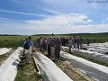 thn_abe-2017-06-08-10-26-45-001.jpg