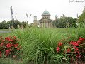 thn_bud-007-2017-09-05_15-13-28-IMG_4106.jpg