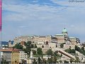 thn_bud-037-2017-09-06_10-01-18-IMG_2170.jpg