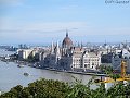 thn_bud-061-2017-09-06_10-57-56-IMG_4199.jpg