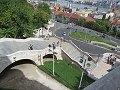 thn_bud-115-2017-09-06_11-46-42-IMG_2240.jpg