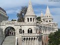 thn_bud-124-2017-09-06_11-48-40-IMG_20170906_114841.jpg
