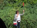 thn_bud-133-2017-09-06_12-10-24-IMG_2254.jpg