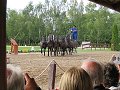 thn_bud-259-2017-09-07_15-54-27-IMG_2435.jpg