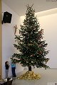 thn_img_3901.jpg