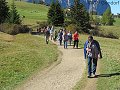 thn_img_3930.jpg