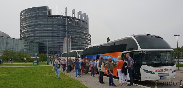 elsass-2019-05-24_11-56-22-20190524_115622-49.jpg