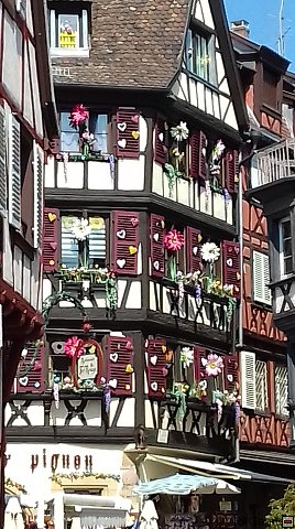 elsass-2019-05-25_10-41-02-20190525_104102-58.jpg