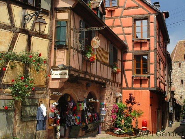 elsass-img_2228-73.jpg
