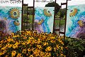 thn_2019-09-26_14-22-11--P9260475-97.jpg