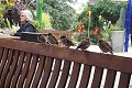 thn_2019-09-26_15-16-44--P9260478-100.jpg