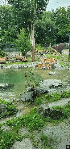 straubing-tierpark-01.jpg