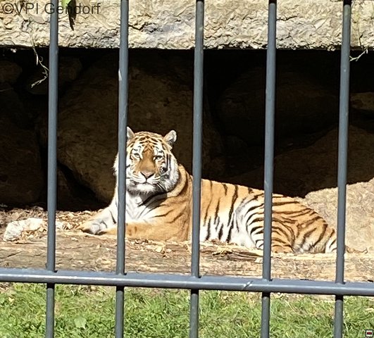 straubing-tierpark-08.jpg