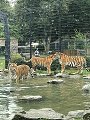 thn_straubing-tierpark-07.jpg