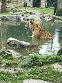 thn_straubing-tierpark-13.jpg